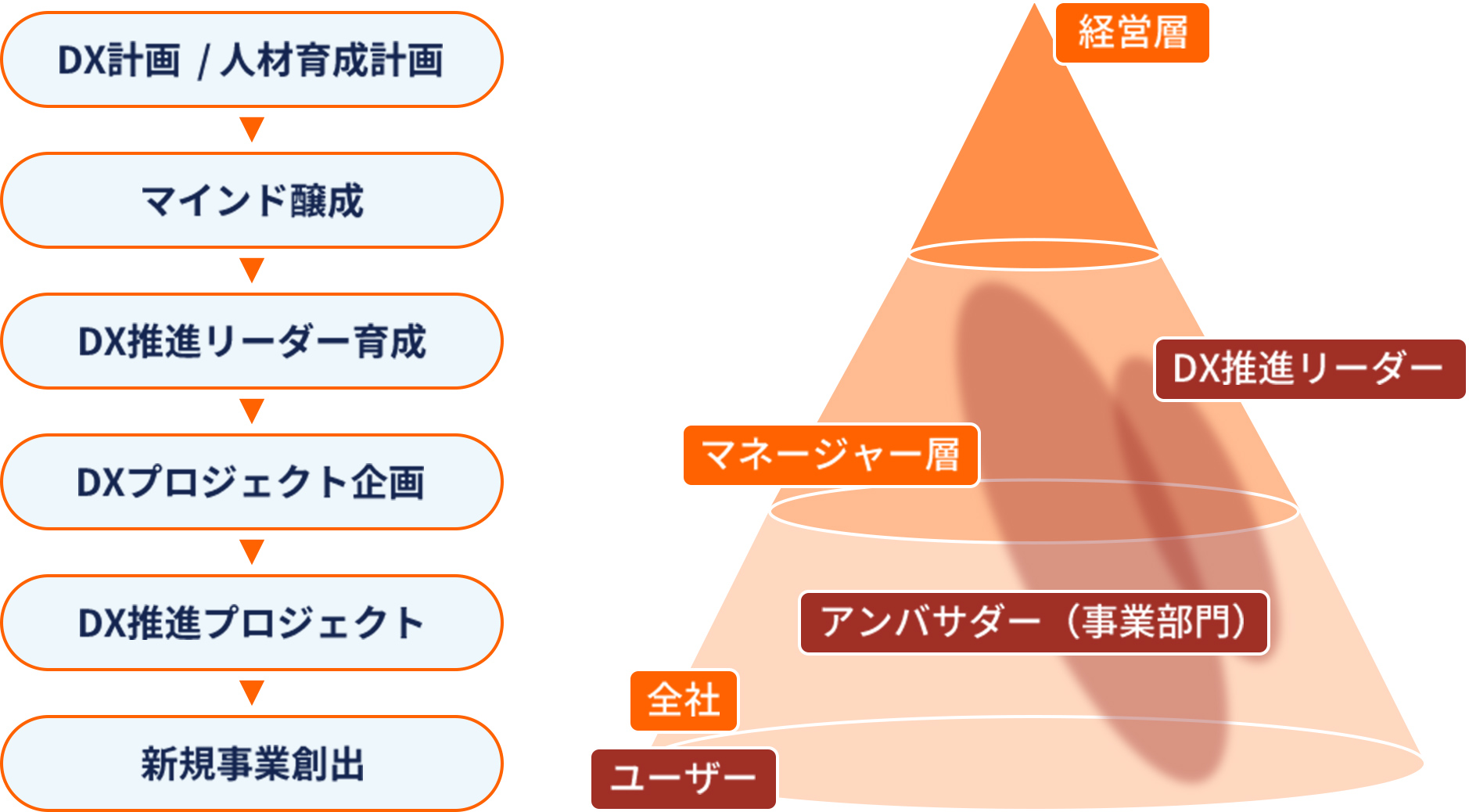 課題に合わせた研修コンテンツ