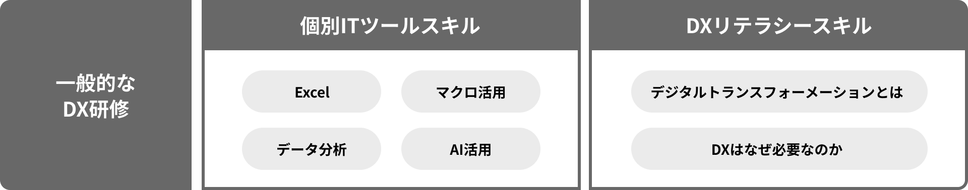 一般的なDX研修 個別ITツールスキル：Excel、マクロ活用、データ分析、AI活用 DXリテラシースキル：デジタルトランスフォーメーションとは、DXはなぜ必要なのか