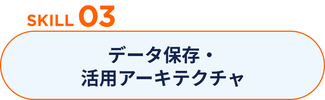 SKILL 03 データ保存・活用アーキテクチャ