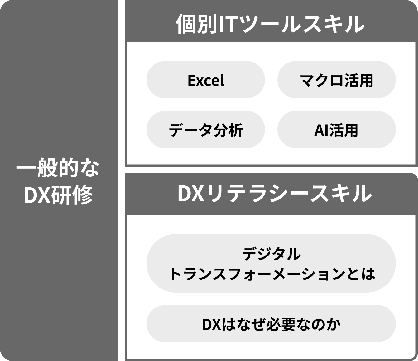 一般的なDX研修 個別ITツールスキル：Excel、マクロ活用、データ分析、AI活用 DXリテラシースキル：デジタルトランスフォーメーションとは、DXはなぜ必要なのか
